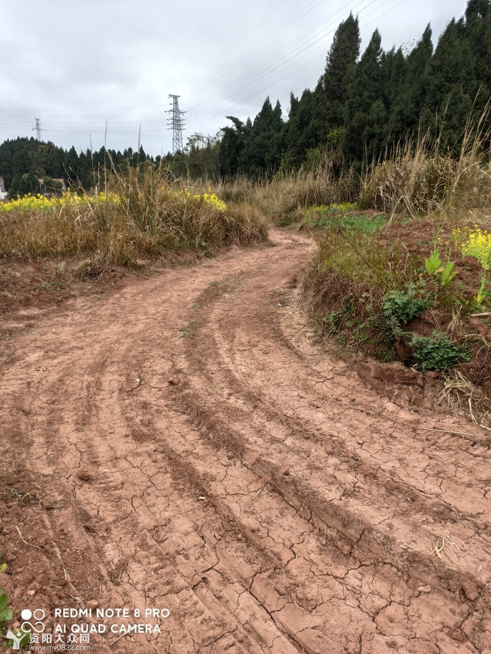 千佛寺路至城西大道的土路