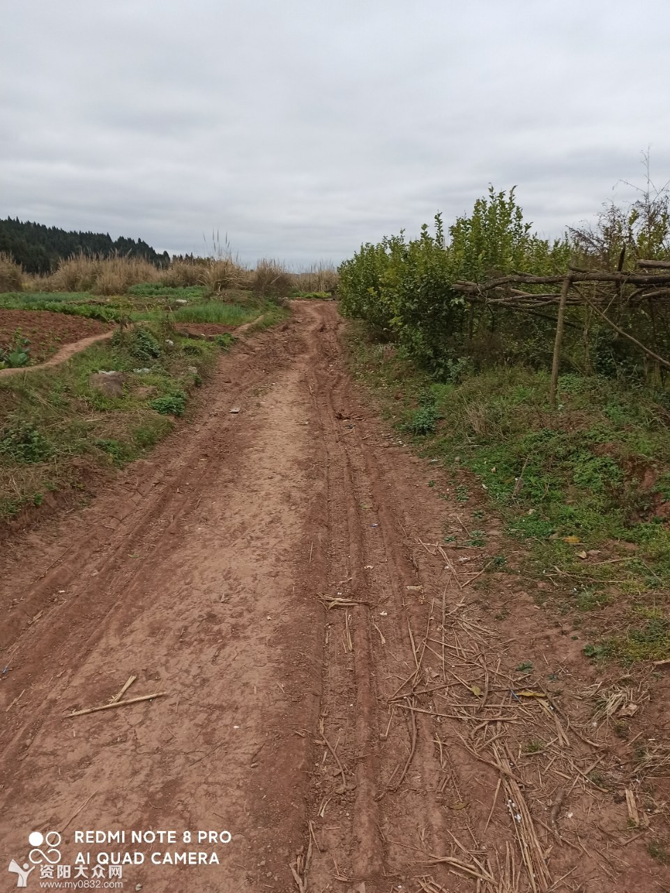 (原创)探密千佛寺路至城西大道的乡村公路