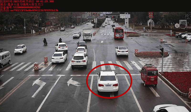 速看!春节期间任性闯红灯被曝光的车辆有您的吗?