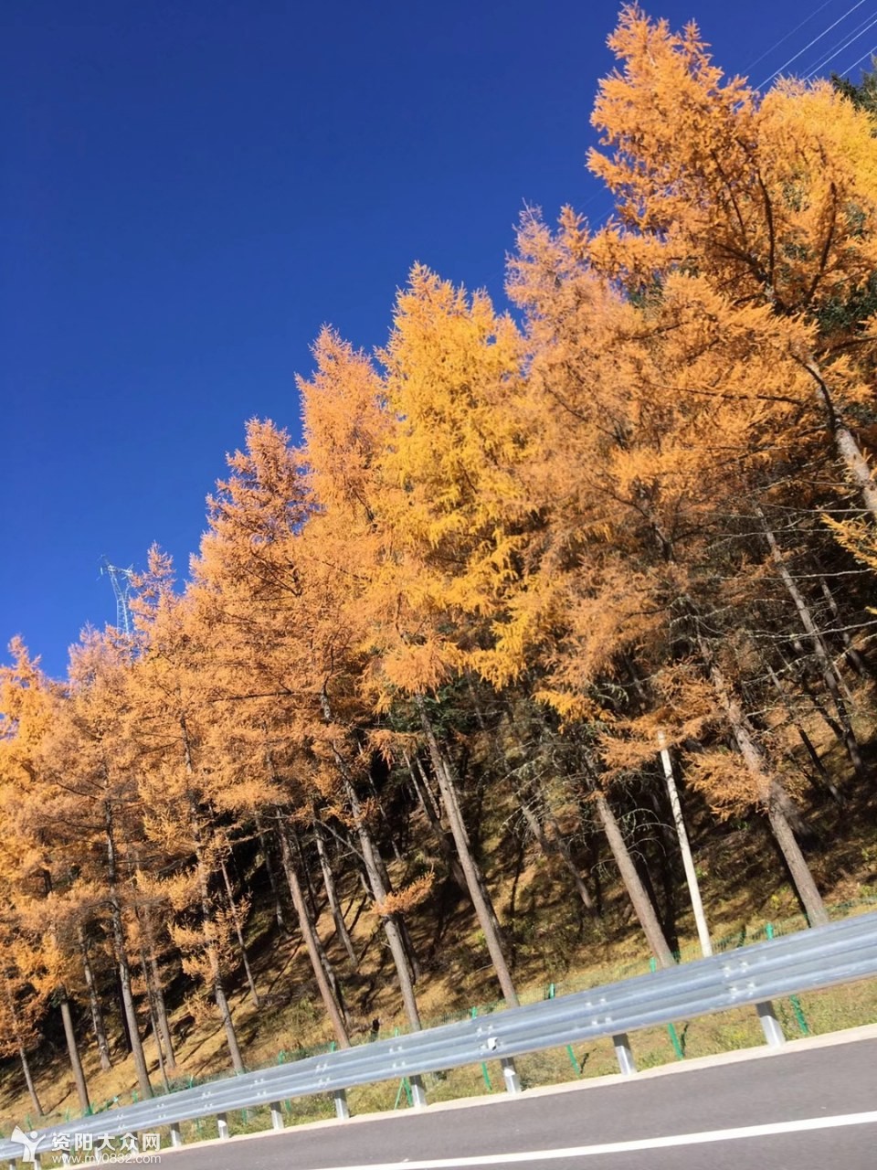 沿途的风景