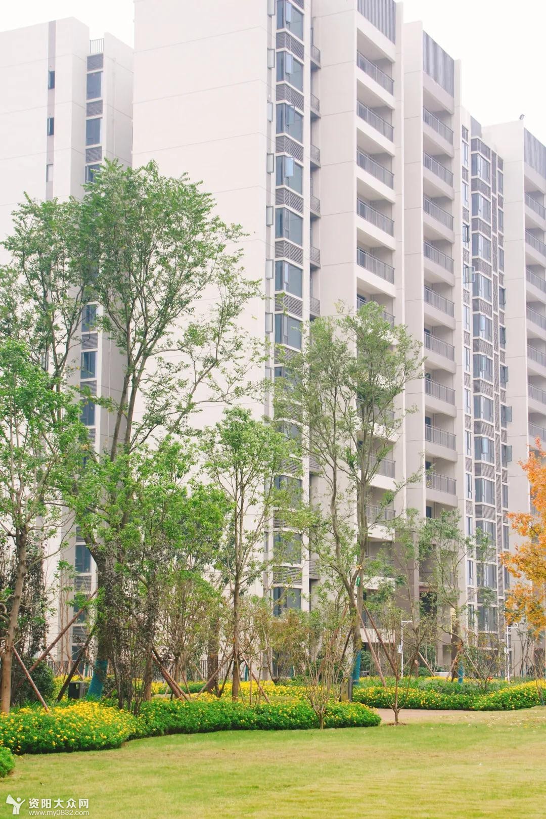 资阳富力.天禧花园丨@打工人,今天你努力了吗?