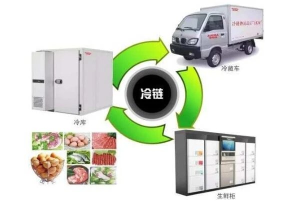 排查整改问题隐患1279个!确保冷链食品安全,我们这样做