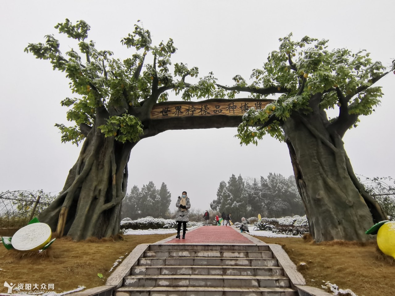 2021年1月8日,安岳柠檬小镇雪景随拍.