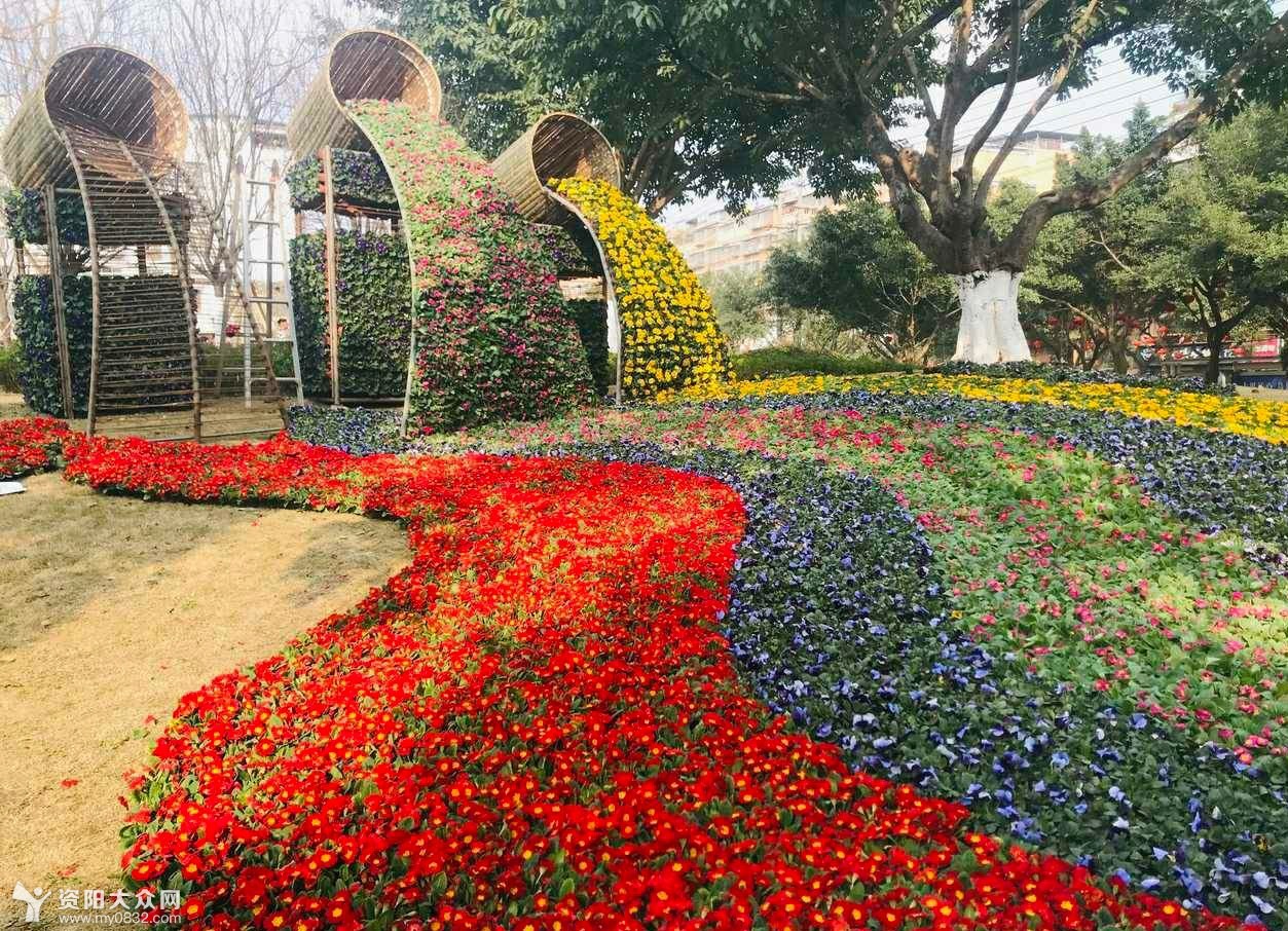 节日摆花方案图片