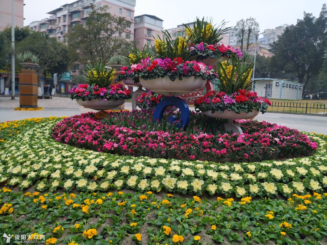 【剑道原创】鲜花虽美,请勿带走,观赏就好,做个文明赏花之人!