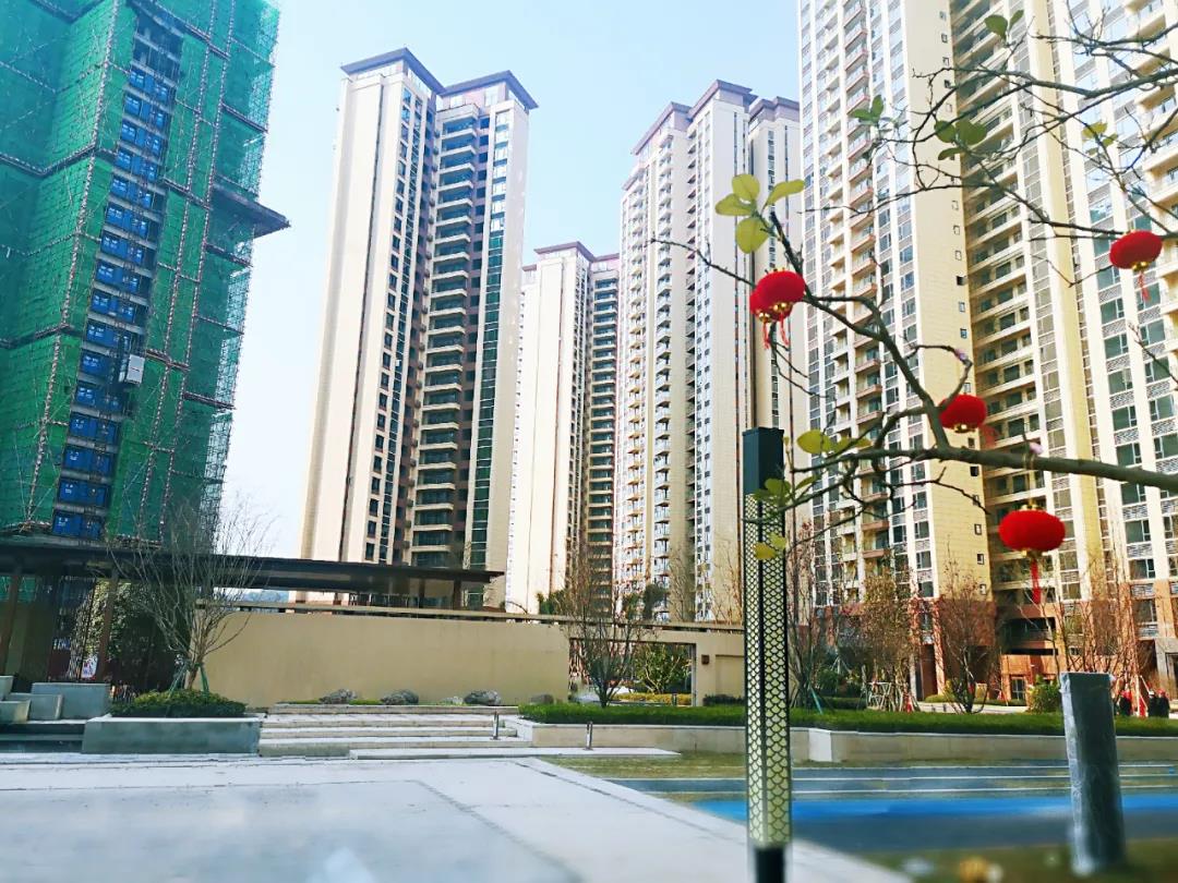 过年别集"五福"了,来安岳兆信.金悦湾臻享五重豪礼更惊喜!