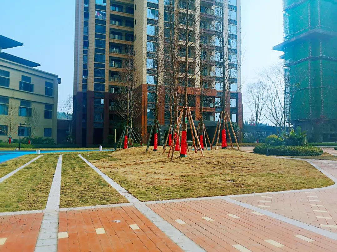 过年别集"五福"了,来安岳兆信.金悦湾臻享五重豪礼更惊喜!