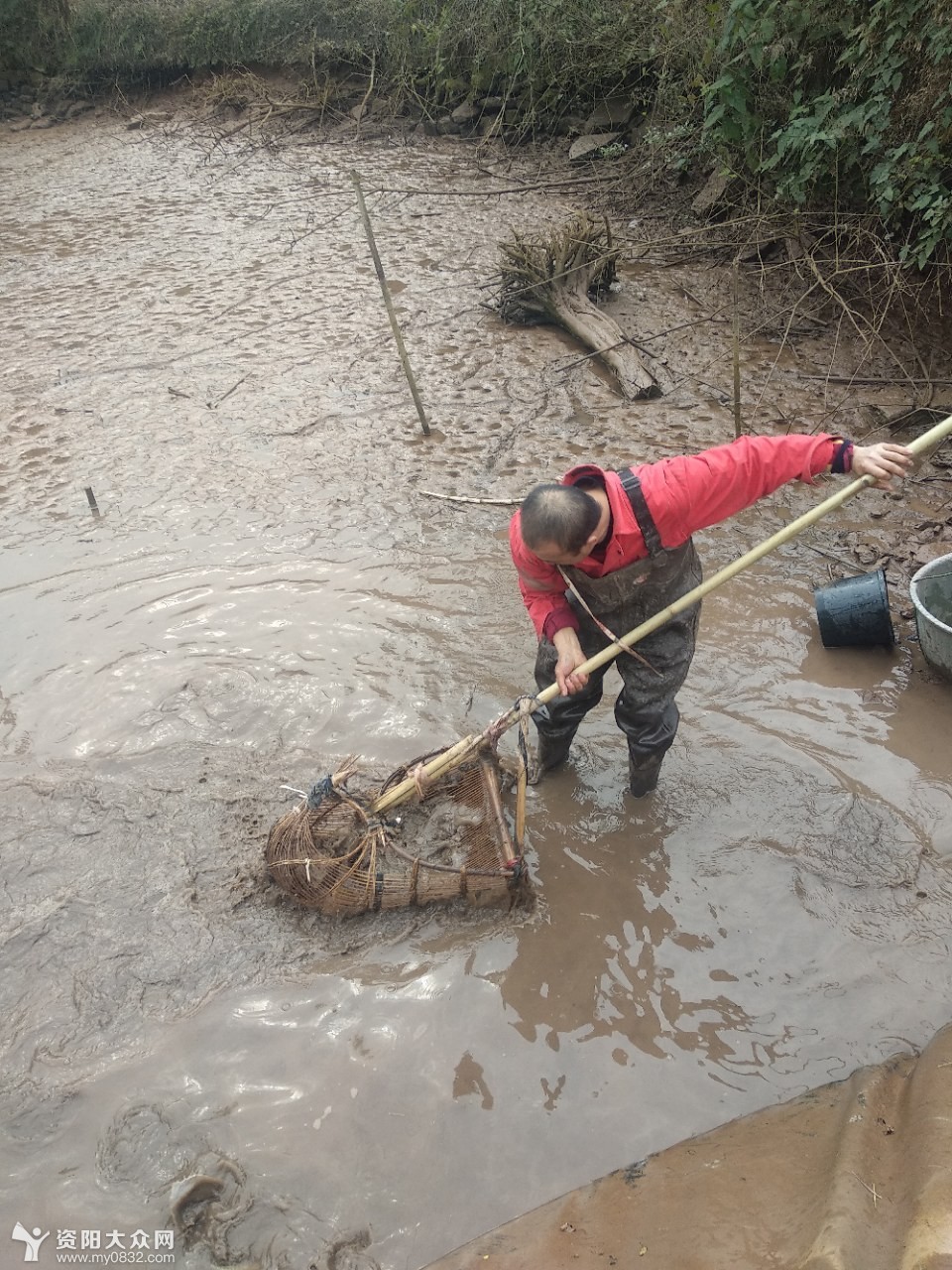 【网络中国节】年年有余,带你走进网友家看鱼塘现场捉鱼