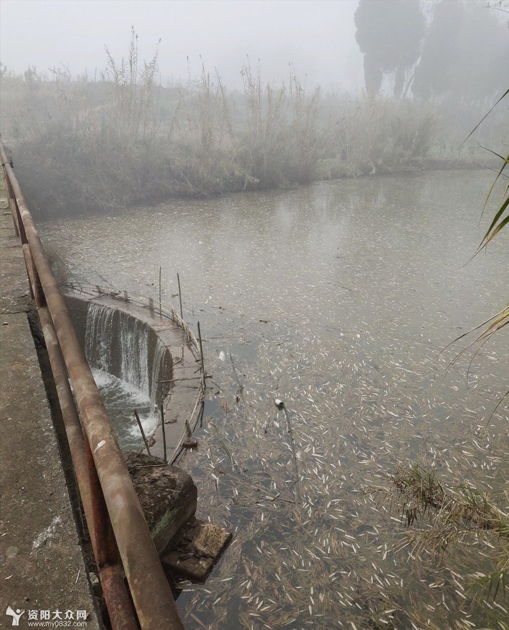 朴实的大自然画卷,理想的世外桃源