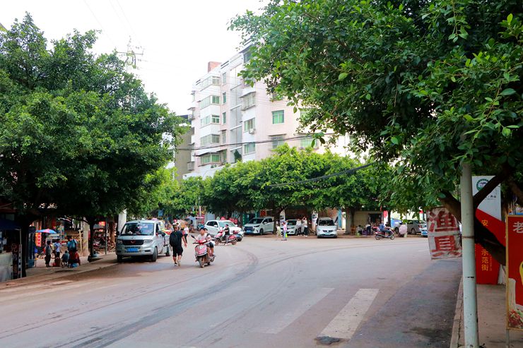 【遇见资阳】雁江第二大!丹山镇,安排上了