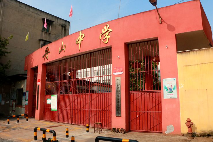 【遇见资阳】雁江第二大!丹山镇,安排上了