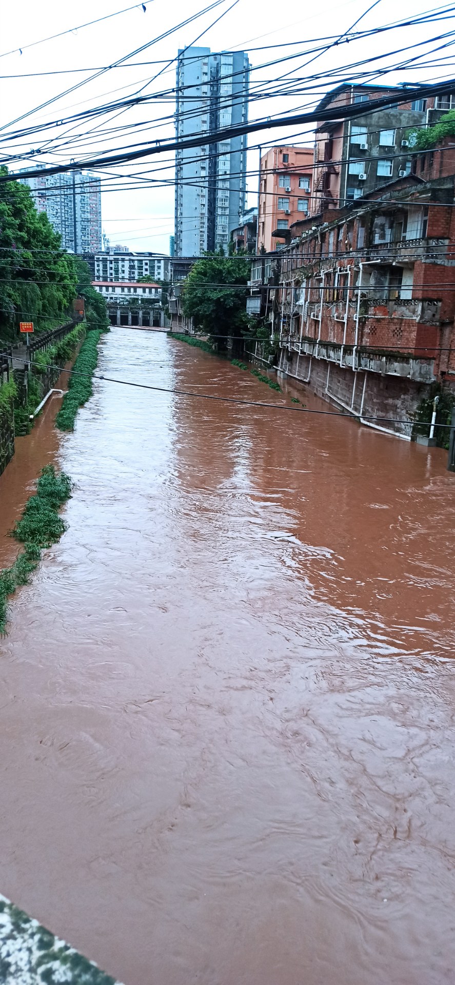 (原创)安岳涨洪水了